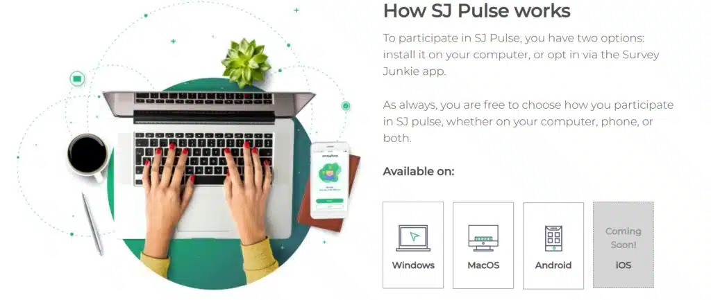 Screenshot of SJ Pulse, a popular option to boost earnings with Survey Junkie
